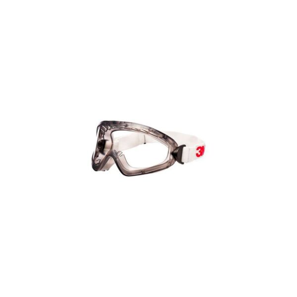 Gafa 3M 2890S